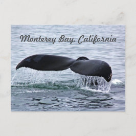 Cartão Postal Cartão-postal de vela de baleia de Monterey Bay