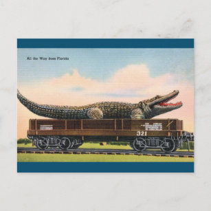 Cartão Postal Cartão-postal de Viagens vintage Giant Alligator d