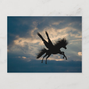 Cartão Postal Cartão-postal de voo noturno