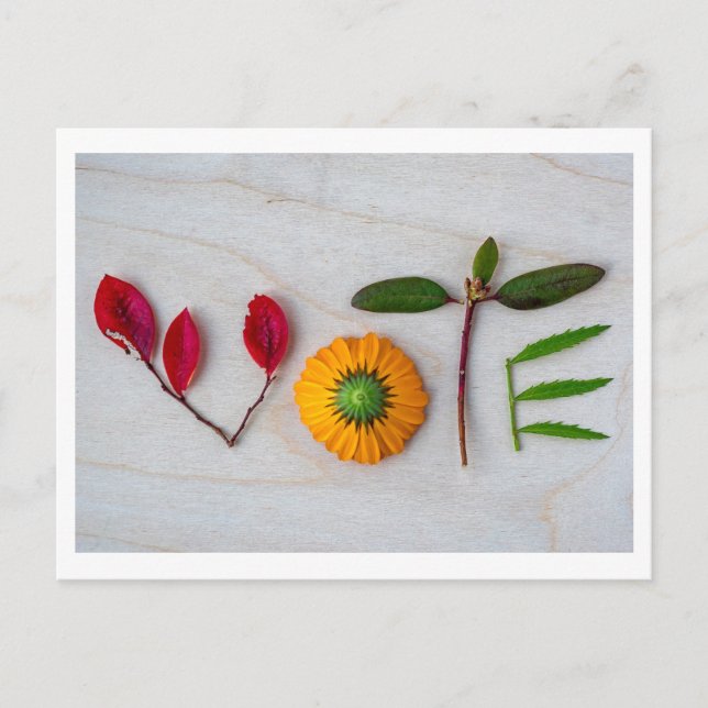 Cartão Postal Cartão-postal de voto (Frente)