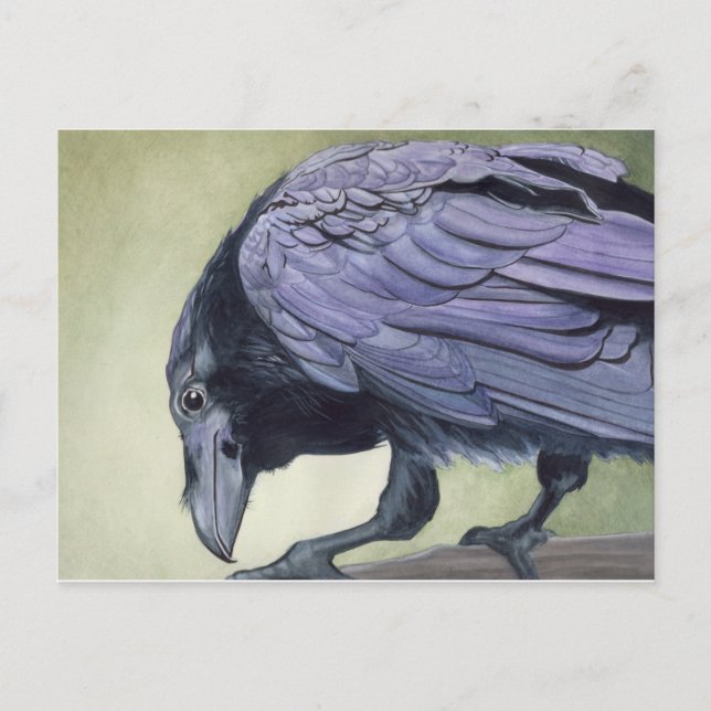Cartão Postal Cartão-postal de Watercolor Raven (Frente)