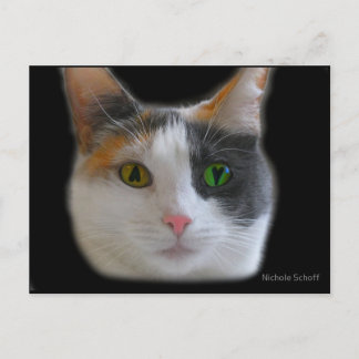 Cartão Postal Cartão-postal do Amor à Primeira Vista