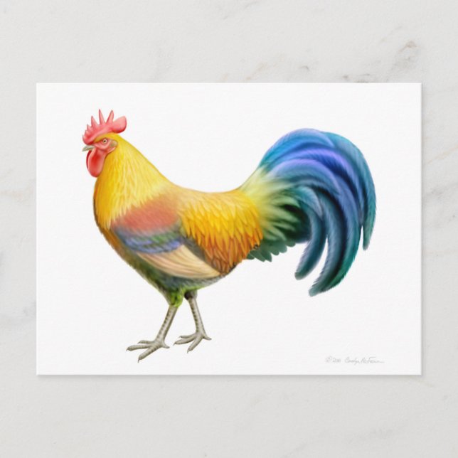 Cartão Postal Cartão-postal do Ardenner Rooster (Frente)
