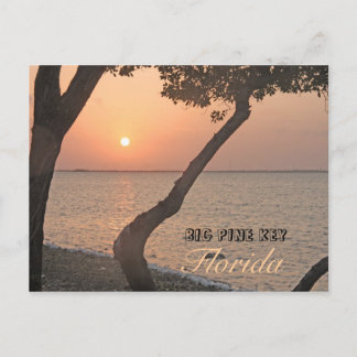 Cartão Postal Cartão-postal do Big Pine Key Sunrise