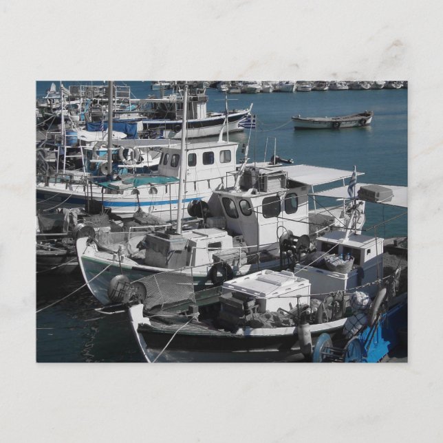 Cartão Postal Cartão-postal do boi (Frente)