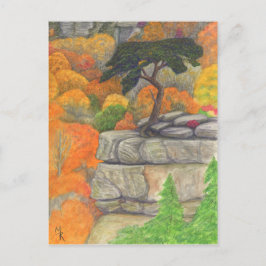 Cartão Postal Cartão-postal do Buzzard no Fall Creek Falls