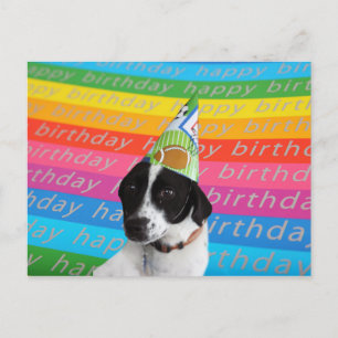 Cartão Postal Cartão-postal do Cachorro de Aniversário Feliz