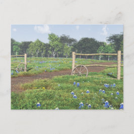 Cartão Postal Cartão-postal do Campo Bluebonnets