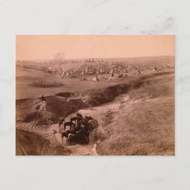 Cartão Postal Cartão-postal do Campo Tipi Lakota (Frente)