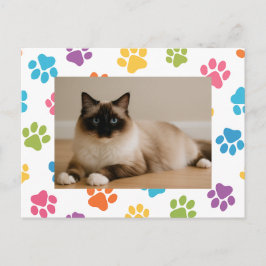 Cartão Postal Cartão-postal do Cat Lover Personalizado com Foto