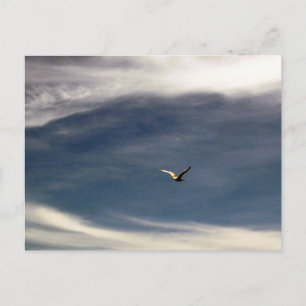 Cartão Postal Cartão-postal do Céu Estéril