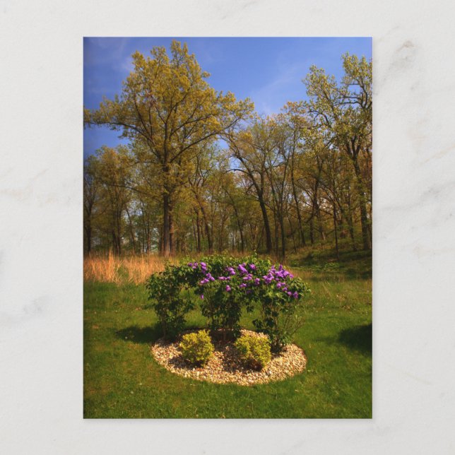 Cartão Postal Cartão-postal do Círculo de Beleza (Frente)