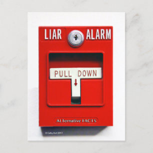 Cartão Postal Cartão-postal do Contato Donald J. Trump Fire