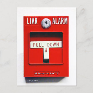 Cartão Postal Cartão-postal do Contato Donald J. Trump Fire