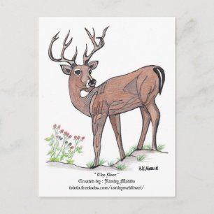 Cartão Postal Cartão-postal do Deer