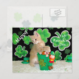 Cartão Postal Cartão-postal do dia do Patrick - Gato