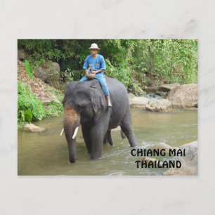 Cartão Postal Cartão-postal do Elefante Chiang Mai