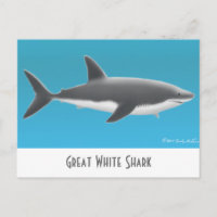 Cartão-postal do Excelente White Shark