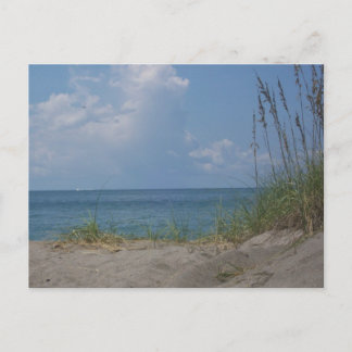 Cartão Postal Cartão-postal do Flórida Paradise