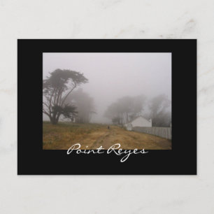 Cartão Postal Cartão-postal do Foggy Point Reyes