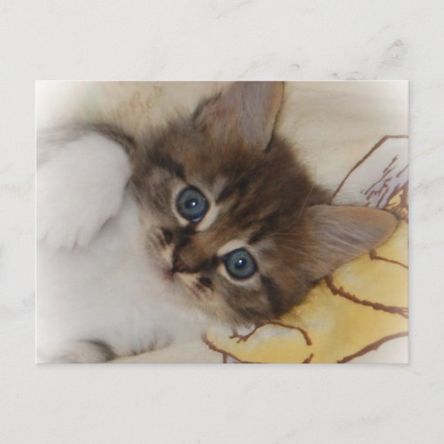 Cartão Postal Cartão-postal do foguete (Frente)