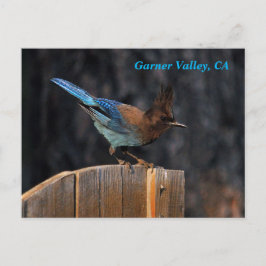 Cartão Postal Cartão-postal do Garner Valley