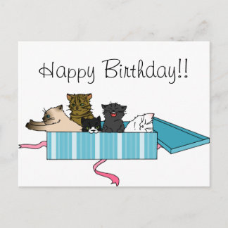 Cartão Postal Cartão-postal do Gatinho de aniversário feliz