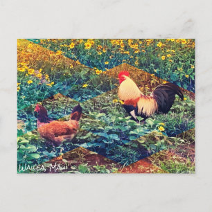 Cartão Postal Cartão-postal do Havaí Rooster