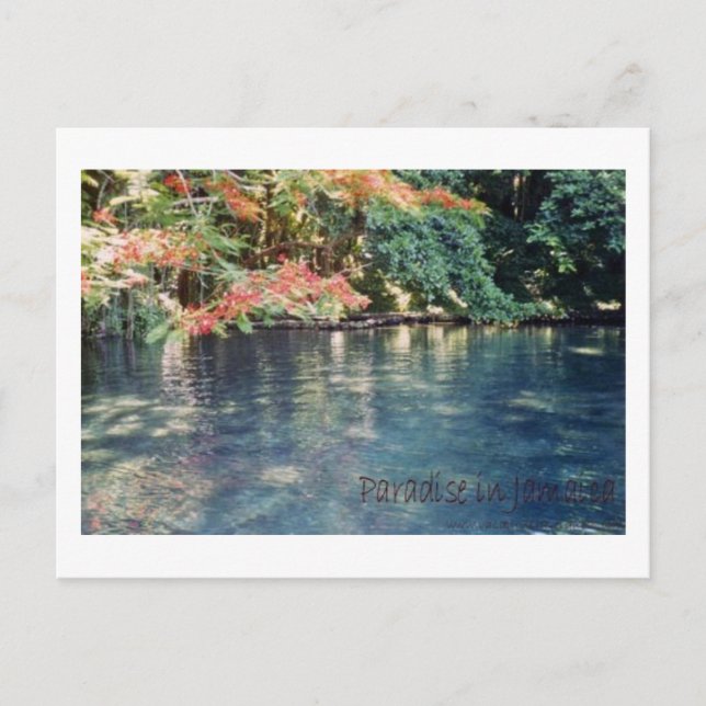 Cartão Postal Cartão-postal do Jamaica Paradise (Frente)
