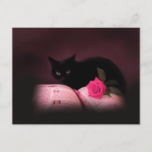 Cartão Postal cartão-postal do livro do gato romântico
