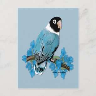 Cartão Postal Cartão-postal do Lovebird Mascarado Azul