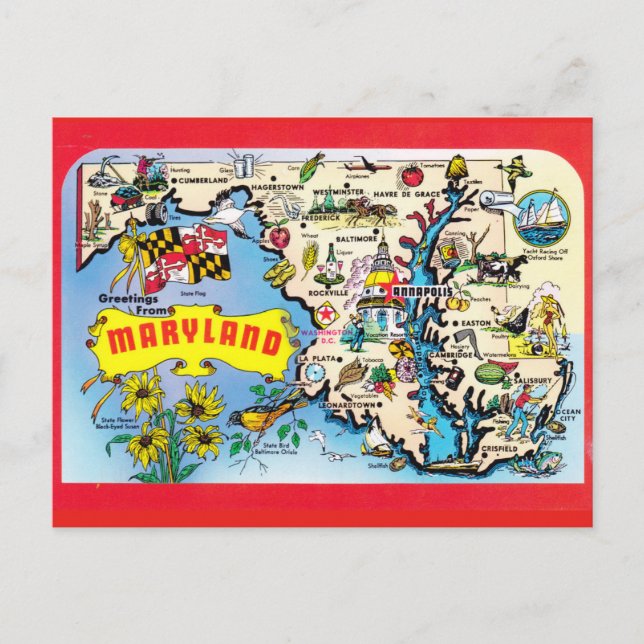 Cartão Postal Cartão-postal do Mapa do Estado de Maryland (Frente)
