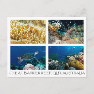 Cartão Postal Cartão-postal do Mar de Coral