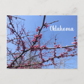 Cartão Postal Cartão-postal do Oklahoma Redbud