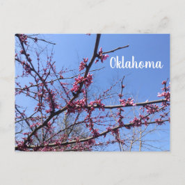 Cartão Postal Cartão-postal do Oklahoma Redbud