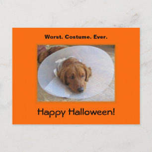 Cartão Postal Cartão-postal do ouro Retriever Halloween