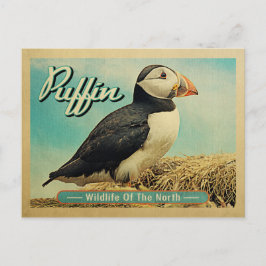 Cartão Postal Cartão-postal do Pássaro Puffin - Vida Selvagem do