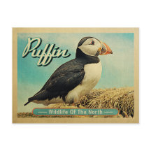 Cartão-postal do Pássaro Puffin - Vida Selvagem do