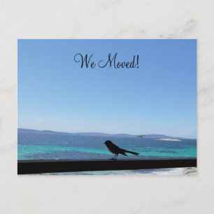 Cartão Postal Cartão-postal do pequeno pássaro com Mudança de De