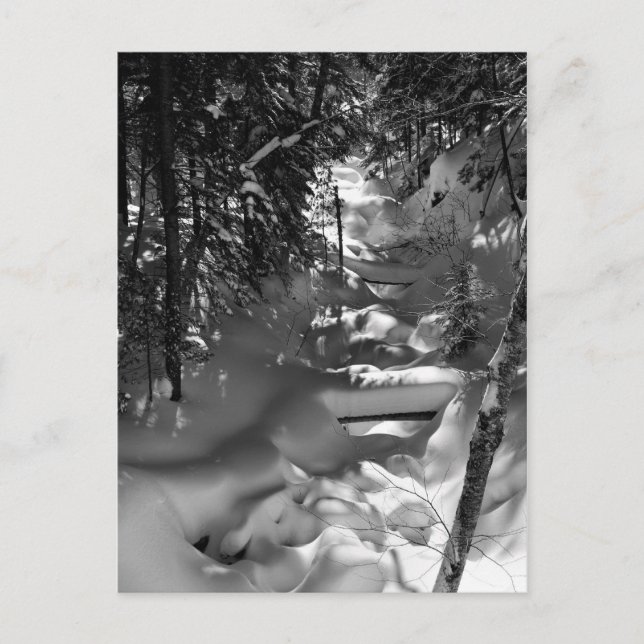 Cartão Postal Cartão-postal do Primavera de Mapeamento - 1 (Frente)