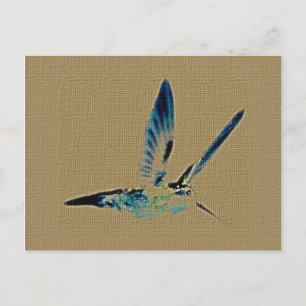 Cartão Postal Cartão-postal do Rei Hummingbird
