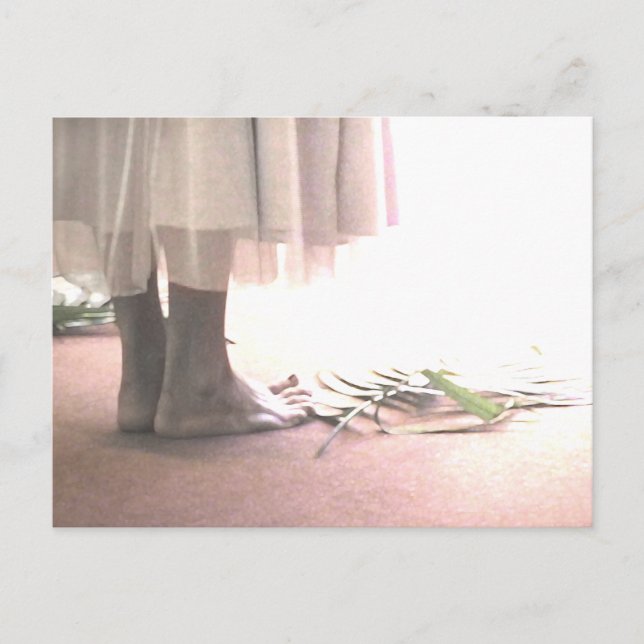 Cartão Postal Cartão-postal do Santo Terreno (Frente)