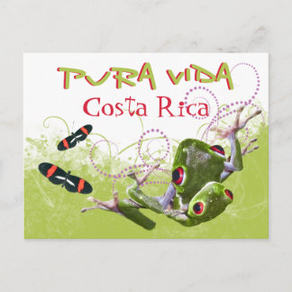 Cartão Postal Cartão-postal do Sapo Pura Vida