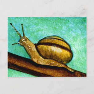 Cartão Postal Cartão-postal do Snail 1