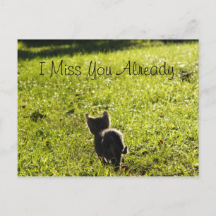Cartão Postal Cartão-postal do Solitário Kitten "Missing You" *P