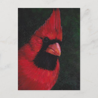 Cartão Postal Cartão-postal do Sr. Red Cardinal Bird