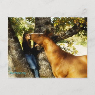 Cartão Postal Cartão-postal do Sundance