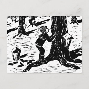 Cartão Postal Cartão-postal do Sweet Sap