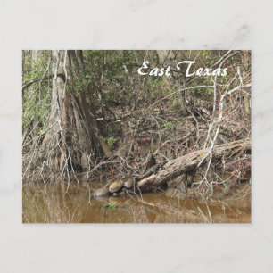 Cartão Postal Cartão-postal do Texas Oriental