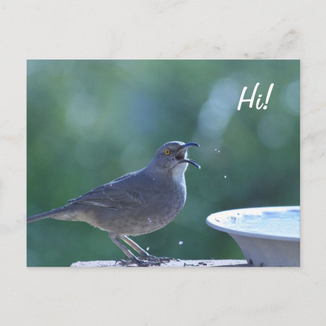 Cartão Postal Cartão-postal do Thrasher Splasher (Frente)